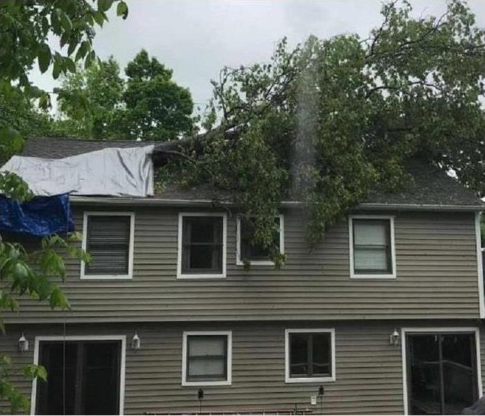 picture of a home with a tree limb on its roof