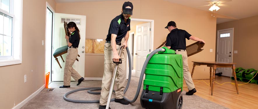 Kitchener, ON cleaning services